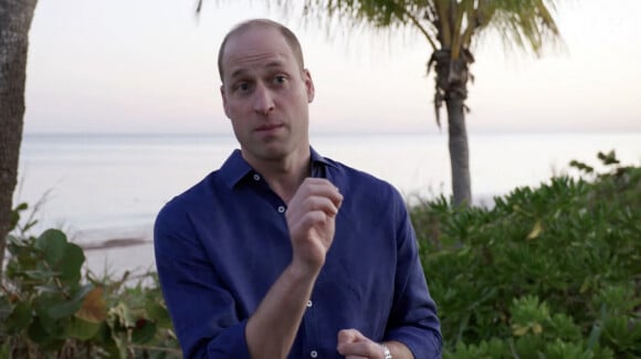 Prince William - Plongée sous-marine dans les Caraïbes pour protéger la flore. 