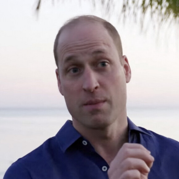 Prince William - Plongée sous-marine dans les Caraïbes pour protéger la flore. 