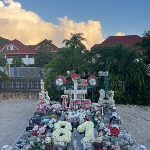 Elle n'est pas la seule à lui avoir rendu un hommage pour son anniversaire : de nombreux fans ont fleuri sa tombe à Saint-Barthélémy.
La tombe de Johnny Hallyday à Lorient sur l'île de Saint-Barthélémy, fleurie à l'occasion de ses 81 ans.