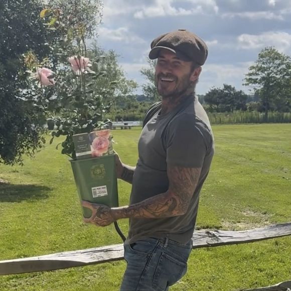 L'un des derniers posts de David Beckham sur ces réseaux sociaux, le 14 juin 2024