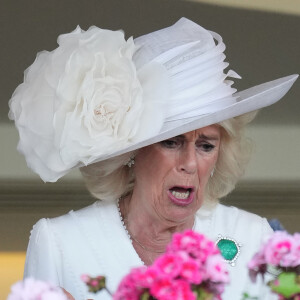 Camilla Parker Bowles, reine consort d'Angleterre, vit intensément la course hippique, sous le regard du roi Charles III d'Angleterre, à Ascot, le 20 juin 2024.