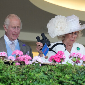 Camilla Parker Bowles, reine consort d'Angleterre, vit intensément la course hippique, sous le regard du roi Charles III d'Angleterre, à Ascot, le 20 juin 2024.