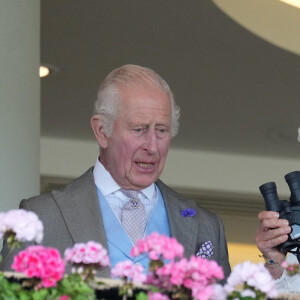 Camilla Parker Bowles, reine consort d'Angleterre, vit intensément la course hippique, sous le regard du roi Charles III d'Angleterre, à Ascot, le 20 juin 2024.