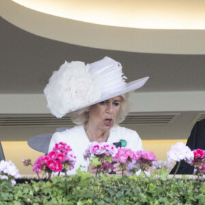 Camilla Parker Bowles, reine consort d'Angleterre, vit intensément la course hippique, sous le regard du roi Charles III d'Angleterre, à Ascot, le 20 juin 2024. Credit: GoffPhotos.com