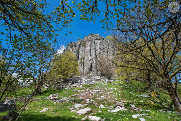 Bort-Les-Orgues (19). Classe ZNIEFF, le site geologique des orgues basaltiques qui doivent leur forme a des coulees volcaniques refroidies - Photo by Dupuy/ANDBZ/ABACAPRESS.COM - phonolite; basalte; cristaux de hauyne; zone naturelle d'interet ecologique; faunistique et floristique; lave; geologie; site touristique; ciel bleu; Biotope; Campagne; Nature; Paysage; Printemps; Rocher; Rochers; Saison; Europe de l'Ouest; Western Europe; France; Bort-les-Orgues; Correze 19; Limousin; Meyrignac L'Eglise; Nouvelle-Aquitaine 