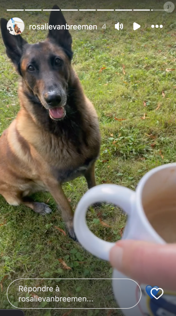 Elle y prend un café avec pour compagnon Loubo, le chien tant aimé d'Alain Delon.
Rosalie van Breemen a dévoilé des images de l'intérieur du domaine de Douchy, le lendemain de l'enterrement d'Alain Delon.