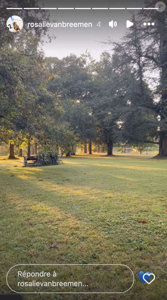 On peut y voir le parc du domaine et le soleil resplendir.
Rosalie van Breemen a dévoilé des images de l'intérieur du domaine de Douchy, le lendemain de l'enterrement d'Alain Delon.