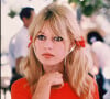 Brigitte Bardot a vécu une histoire d'amour clandestine
Archive - Brigitte Bardot