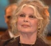 L'actrice va fêter ses 90 ans le 28 septembre prochain
 
Archives - Brigitte Bardot le 1er juin 2011 à Paris.