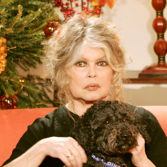 Brigitte Bardot "en grand deuil"
 
Exclusif - Brigitte Bardot à Levallois-Perret