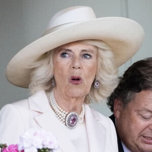 Le roi Charles III d'Angleterre et Camilla Parker Bowles, reine consort d'Angleterre, assistent à la dernière journée des courses hippiques Royal Ascot? le 22 juin 2024. 