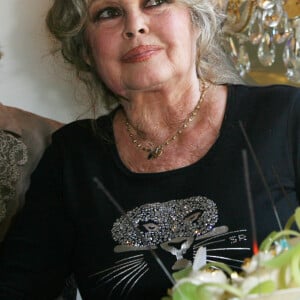 Interviewée par Paris Match après sa mort survenue le 18 août 2024, Brigitte Bardot avait confié toute sa tristesse d'avoir perdu celui qu'elle considérait comme une âme soeur.
Archives - Brigitte Bardot lors des 20 ans de la Fondation Brigitte Bardot à Paris, le 28 septembre 2006. 