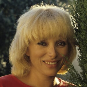 Archives - En France, sur la Côte d'Azur, en vacances à Saint-Tropez, Mireille Darc dans le jardin de Jacqueline Cormier en août 1985.