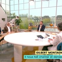 Une remarque sur ce célèbre invité ne passe pas, des excuses inévitables en direct dans Bonjour ! (TF1)