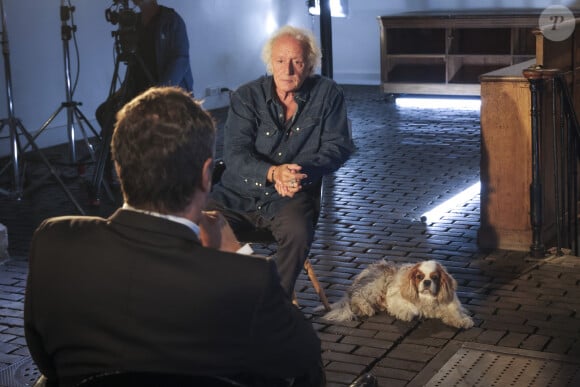 Un adorable Cavalier King Charles Spaniel
Exclusif - Didier Barbelivien - Enregistrement de l'émission "Animaux Stars", présentée par B.Montiel et diffusée le 2 novembre sur Animaux TV. Le 23 septembre 2024 © Jack Tribeca / Bestimage