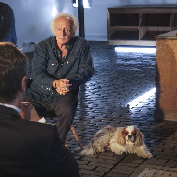 Un adorable Cavalier King Charles Spaniel
Exclusif - Didier Barbelivien - Enregistrement de l'émission "Animaux Stars", présentée par B.Montiel et diffusée le 2 novembre sur Animaux TV. Le 23 septembre 2024 © Jack Tribeca / Bestimage