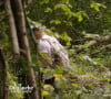 Emmanuel Moire dans "Un dimanche à la campagne" - Capture d'écran - France 2.