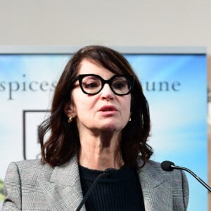 Zabou Breitman lors de la 164ème vente des Hospices de Beaune sous les Halles de Beaune le 17 novembre 2024. Cette 164ème édition se tenait comme chaque année sous la Halle de Beaune, en face de l'Hôtel-Dieu. La Pièce de Charité, un Beaune 1er cru "Les Bressandes", a été vendue pour 360.000 euros © Romain Doucelin / Bestimage 