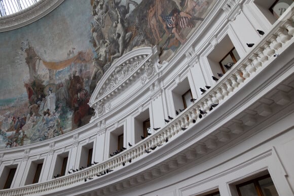 
Une installation de pigeons par Maurizio Cattelan à la Bourse de Commerce-Pinault Collection, à Paris.