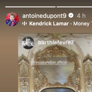 Instagram @antoinedupont9