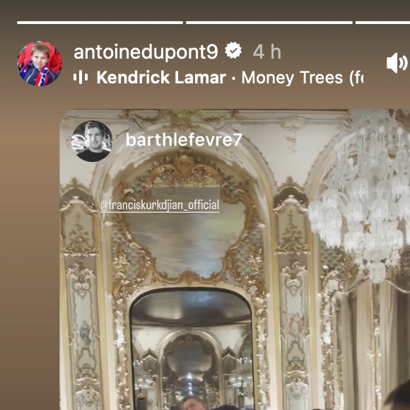 Instagram @antoinedupont9