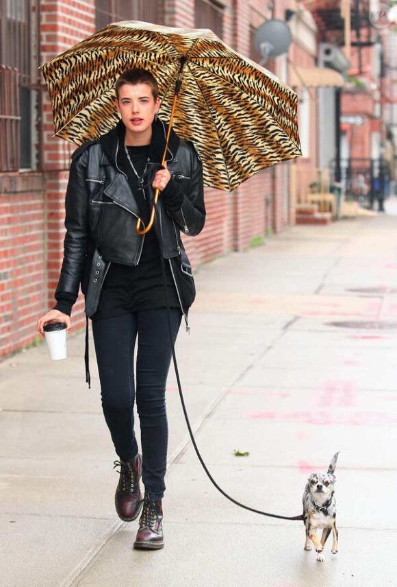 Agyness Deyn promène son chien dans les rues de New York