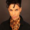 Prince, candidat à la reprise du Nice Jazz Festival, a ravi la cité azuréenne lors de son concert le 25 juillet 2010.