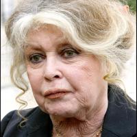 Brigitte Bardot : Son exposition tourne au règlement de comptes ! Qui a tort ?