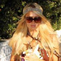 Paris Hilton : A l'approche d'Halloween, elle préfère déguiser... ses chiens !