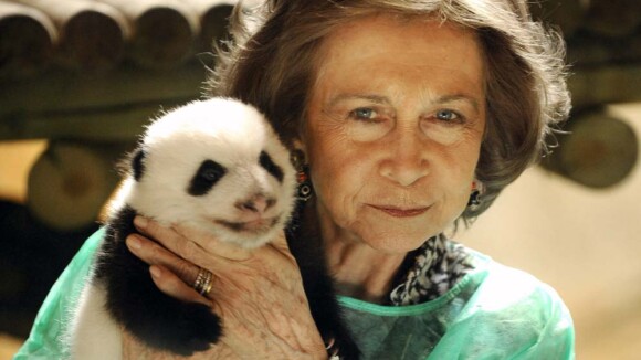 La Reine Sofia d'Espagne pouponne... deux adorables pandas !