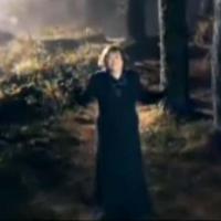 Susan Boyle se perd au milieu d'une sombre forêt pour "Perfect day" !