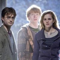 Harry Potter 7 : Découvrez la ville française qui accueillera l'avant-première !