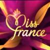 La cérémonie de Miss France 2011, diffusée sur TF1 le samedi 4 décembre, a permis à TF1 d'engranger 5,5 millions d'euros de recettes publicitaires.