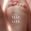 La bande-annonce de The Tree of Life, de Terrence Malick, avec Brad Pitt et Sean Penn, en salles le 18 mai 2011.
