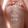 Des images de The Tree of Life, de Terrence Malick, avec Brad Pitt et Sean Penn, en salles le 18 mai 2011.