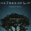 Des images de The Tree of Life, de Terrence Malick, avec Brad Pitt et Sean Penn, en salles le 18 mai 2011.
