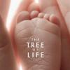 La bande-annonce de The Tree of Life, en salles le 18 mai 2011, et sans doute en sélection au Festival de Cannes.