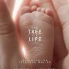 L'affiche de The Tree of Life, de Terrence Malick, qui sera sûrement en sélection au Festival de Cannes en mai 2011.
