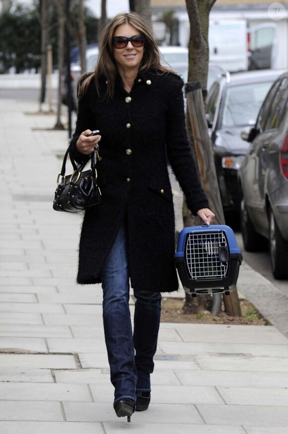 Elizabeth Hurley et sa mystérieuse cage pour chat, à Londres, le 11 mars 2011