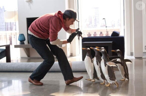 Des images de Mr. Popper's Penguins, en salles le 20 juillet 2011.