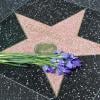 Gerbes de fleurs sur l'étoile d'Elizabeth Taylor le 24 mars 2011