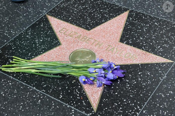 Gerbes de fleurs sur l'étoile d'Elizabeth Taylor le 24 mars 2011