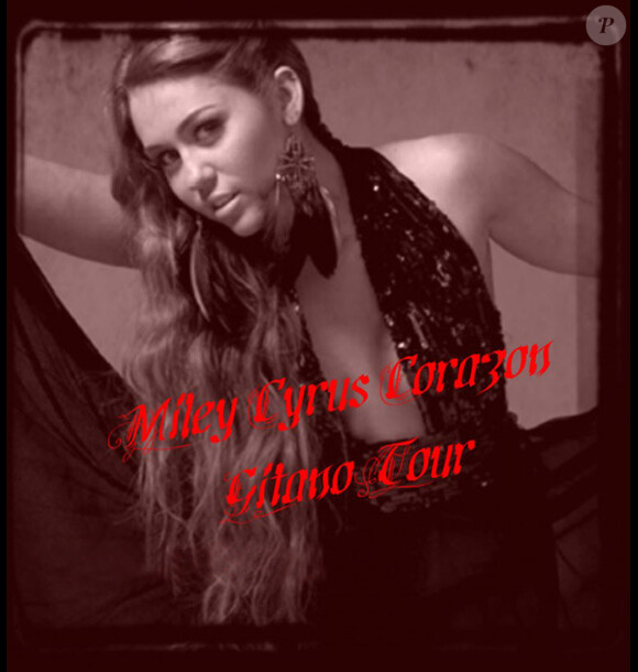 Miley Cyrus lance son Gypsy Heart Tour, une tournée en Amérique latine, à partir du 29 avril 2011.