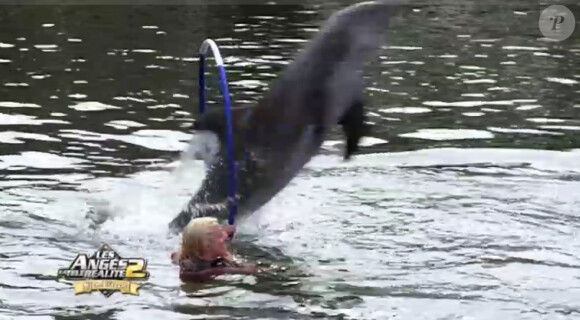 Loana s'amuse avec les dauphins, dans les Anges de la télé-réalité 2 : Miami Dreams, sur NRJ 12 le 21 juin 2011.