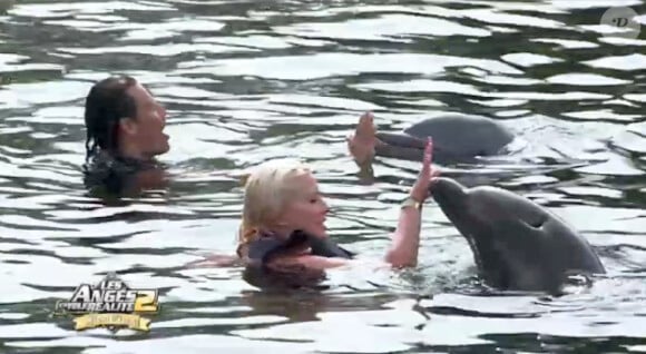 Loana et Brandon avec les dauphins dans les Anges de la télé-réalité 2 : Miami Dreams, sur NRJ 12 le 21 juin 2011.
