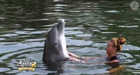 Julie s'amuse avec les dauphins dans les Anges de la télé-réalité 2 : Miami Dreams, sur NRJ 12 le 21 juin 2011.