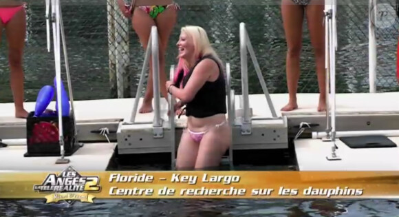 Loana va plonger avec les dauphins dans les Anges de la télé-réalité 2 : Miami Dreams, sur NRJ 12 le 21 juin 2011.