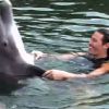 Brandon s'éclate avec le dauphin dans les Anges de la télé-réalité 2 : Miami Dreams, sur NRJ 12 le 21 juin 2011.