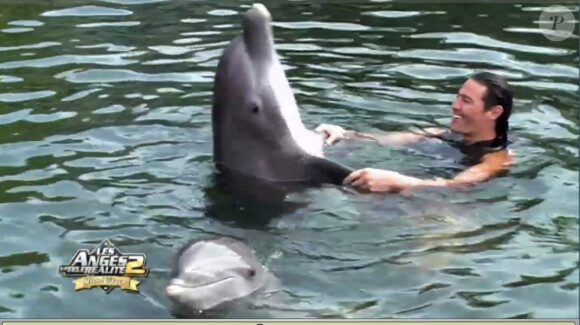 Brandon s'éclate avec le dauphin dans les Anges de la télé-réalité 2 : Miami Dreams, sur NRJ 12 le 21 juin 2011.