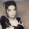 Björk - Human Behaviour, réalisé par Michel Gondry - 1993.